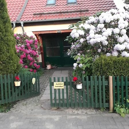 Harzglueck Villa Thale Exteriör bild