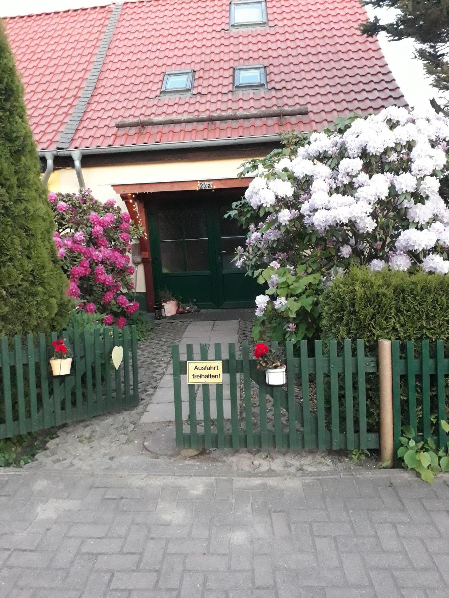 Harzglueck Villa Thale Exteriör bild